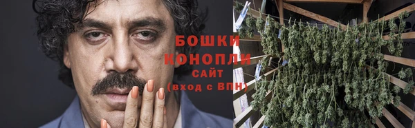 PSILOCYBIN Покачи