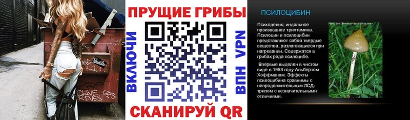 omg зеркало  Усолье  shop Telegram  где купить наркоту  Псилоцибиновые грибы мухоморы 